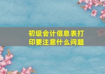 初级会计信息表打印要注意什么问题