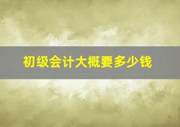 初级会计大概要多少钱