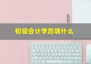 初级会计学历填什么