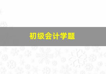 初级会计学题