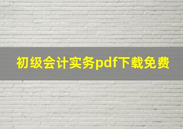 初级会计实务pdf下载免费