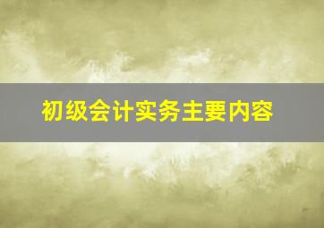 初级会计实务主要内容