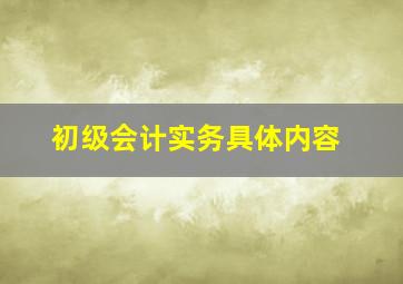 初级会计实务具体内容