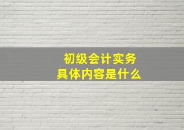 初级会计实务具体内容是什么