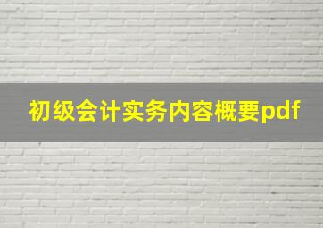 初级会计实务内容概要pdf