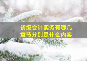 初级会计实务有哪几章节分别是什么内容