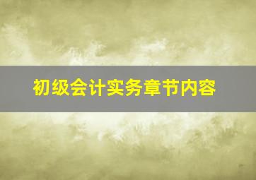 初级会计实务章节内容