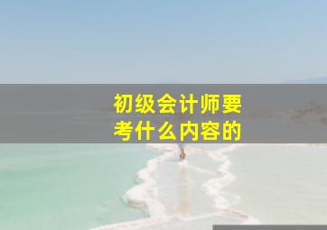 初级会计师要考什么内容的