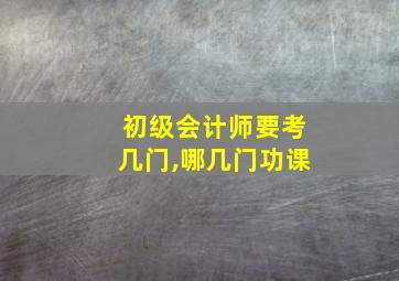 初级会计师要考几门,哪几门功课