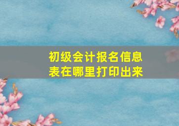 初级会计报名信息表在哪里打印出来