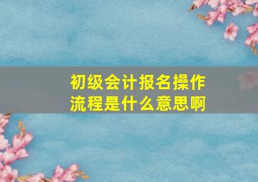 初级会计报名操作流程是什么意思啊