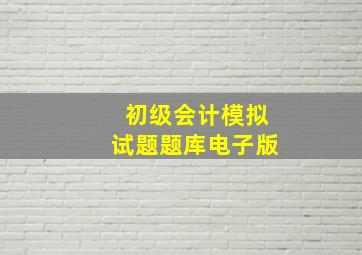 初级会计模拟试题题库电子版