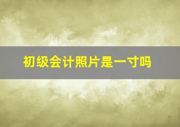 初级会计照片是一寸吗