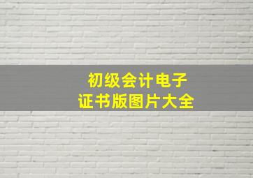 初级会计电子证书版图片大全