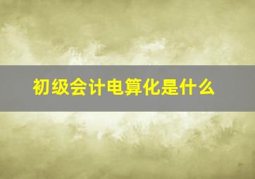 初级会计电算化是什么