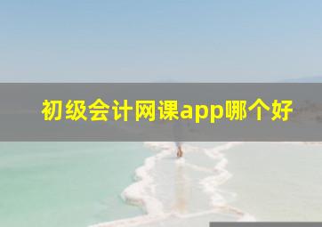 初级会计网课app哪个好