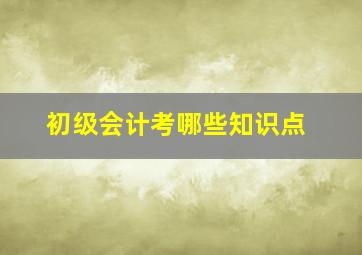 初级会计考哪些知识点