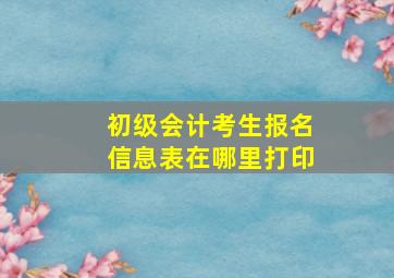 初级会计考生报名信息表在哪里打印