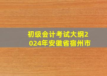 初级会计考试大纲2024年安徽省宿州市