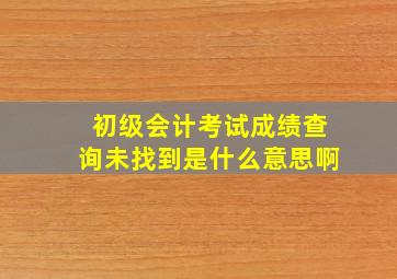 初级会计考试成绩查询未找到是什么意思啊