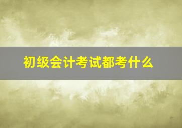 初级会计考试都考什么