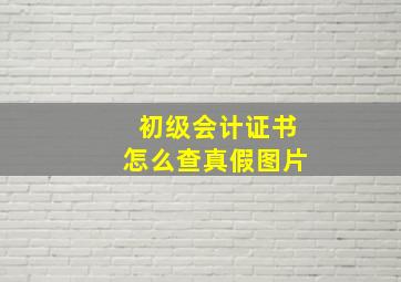 初级会计证书怎么查真假图片