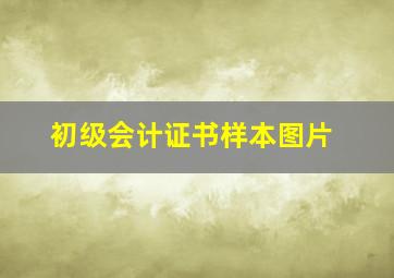 初级会计证书样本图片