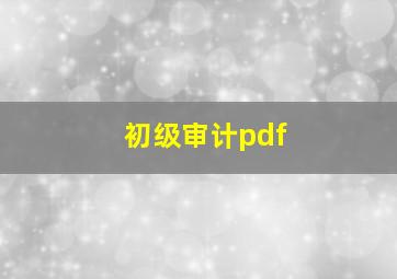 初级审计pdf