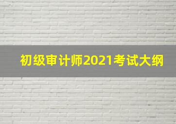 初级审计师2021考试大纲