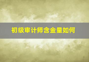 初级审计师含金量如何