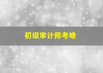 初级审计师考啥