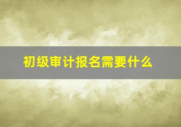 初级审计报名需要什么