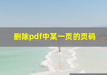 删除pdf中某一页的页码