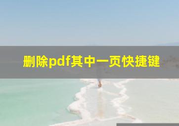 删除pdf其中一页快捷键