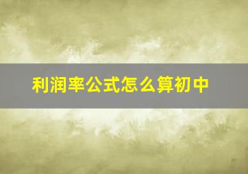 利润率公式怎么算初中