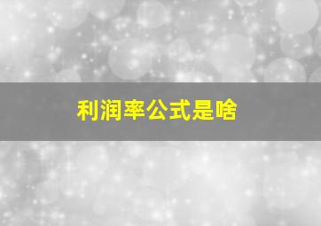 利润率公式是啥