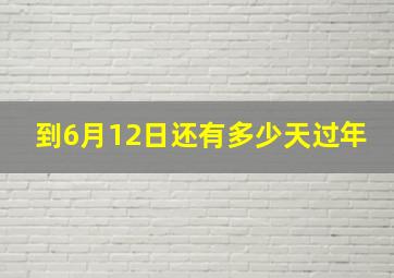 到6月12日还有多少天过年