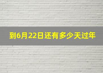 到6月22日还有多少天过年