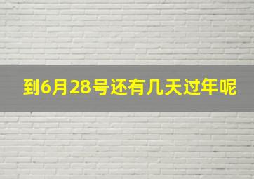 到6月28号还有几天过年呢