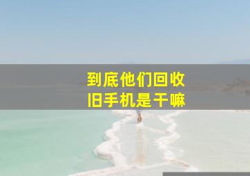 到底他们回收旧手机是干嘛