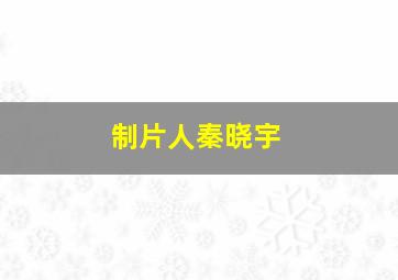 制片人秦晓宇