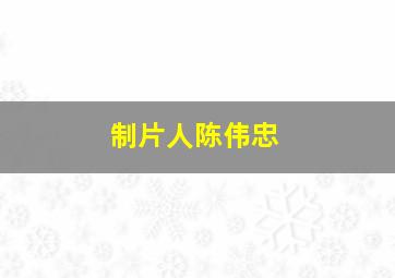 制片人陈伟忠