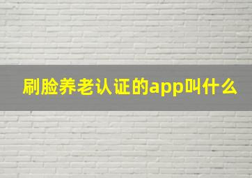 刷脸养老认证的app叫什么