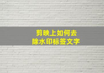 剪映上如何去除水印标签文字