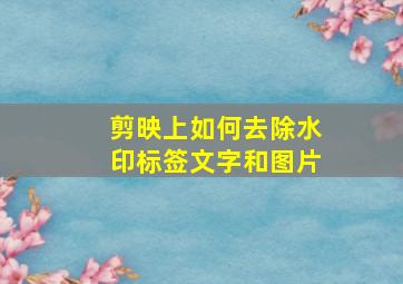 剪映上如何去除水印标签文字和图片