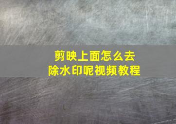 剪映上面怎么去除水印呢视频教程