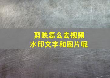 剪映怎么去视频水印文字和图片呢