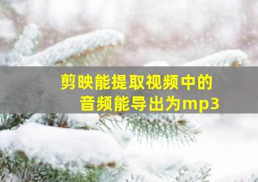 剪映能提取视频中的音频能导出为mp3