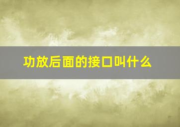 功放后面的接口叫什么