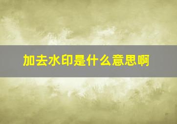 加去水印是什么意思啊